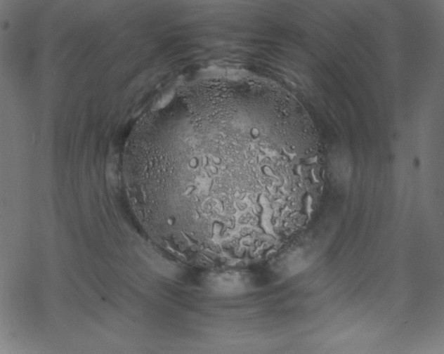 X0000070230181200605301505