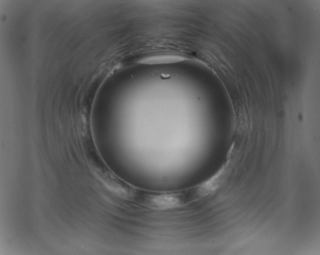 X0000070230183200605301505