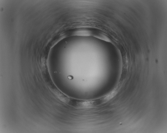 X0000070230184200605301505