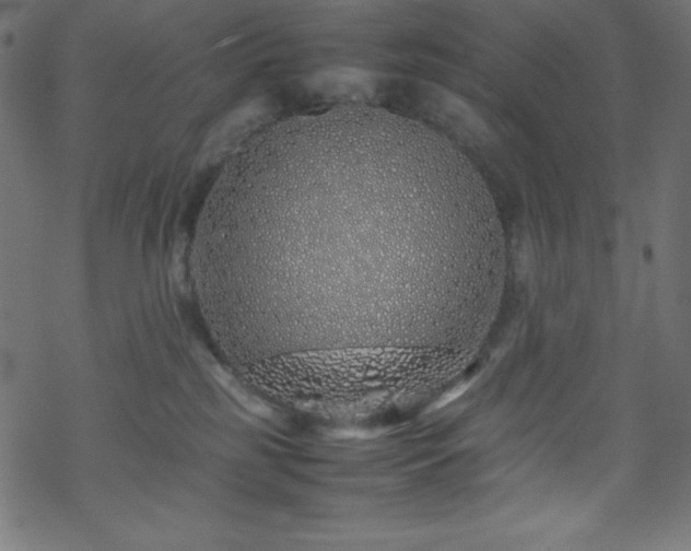 X0000070230185200605301505