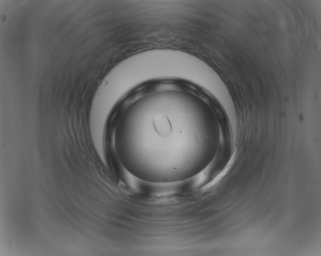 X0000070230186200605301505