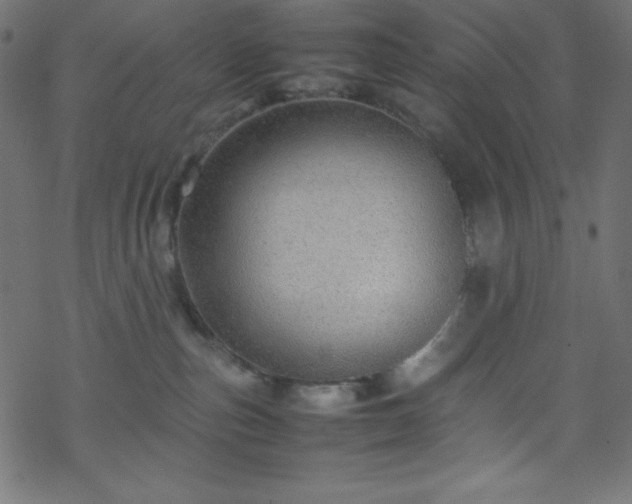 X0000070230187200605301505