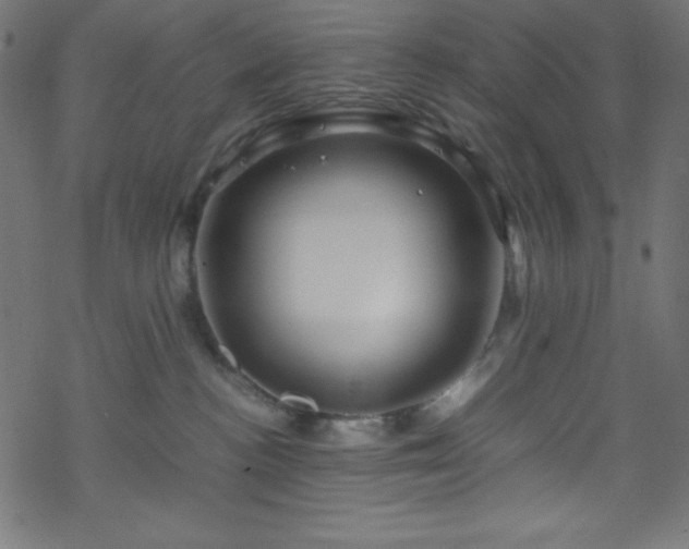 X0000070230188200605301505