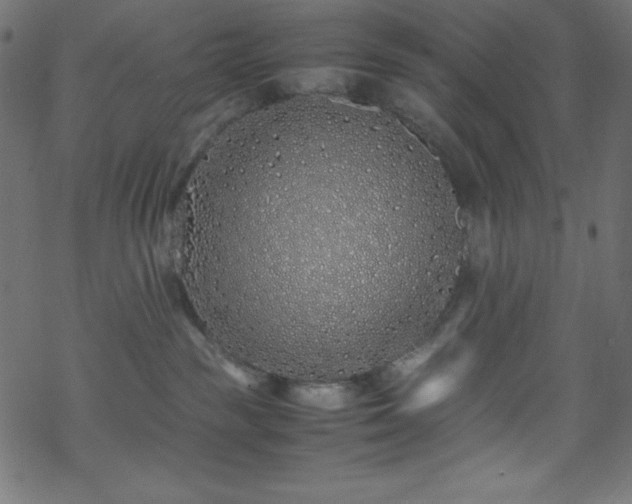 X0000070230189200605301505