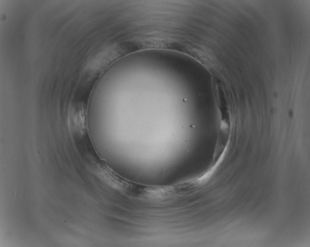 X0000070230190200605301505