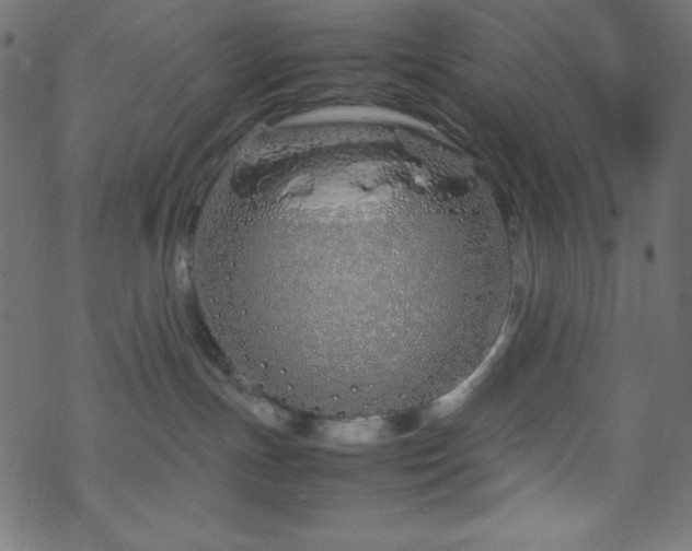 X0000070230191200605301505