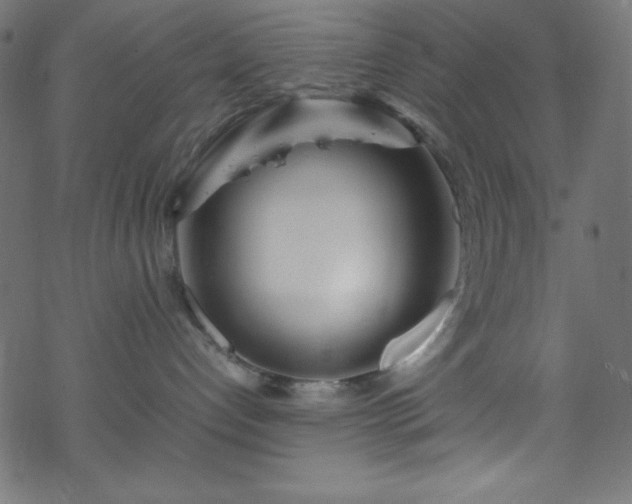 X0000070230192200605301505