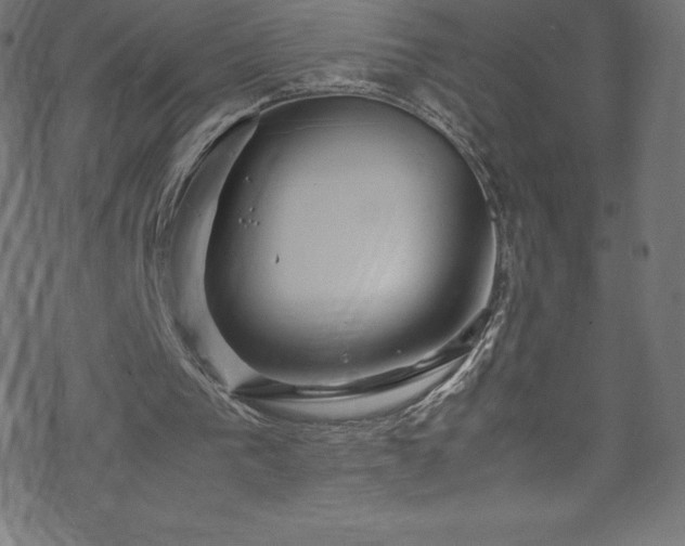 X0000070230193200605301504