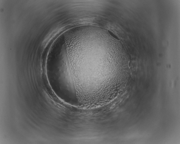 X0000070230194200605301504