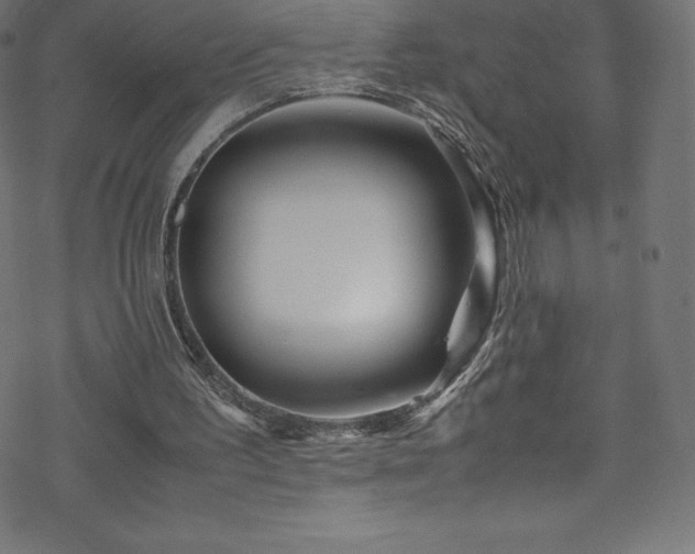 X0000070230195200605301504