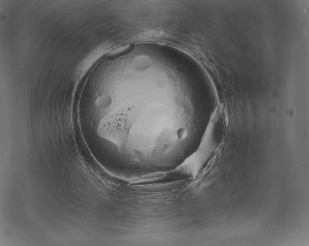 X0000070230196200605301504