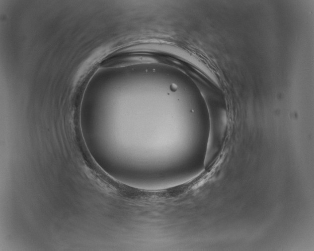 X0000070230197200605301504