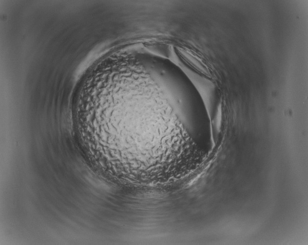 X0000070230198200605301504