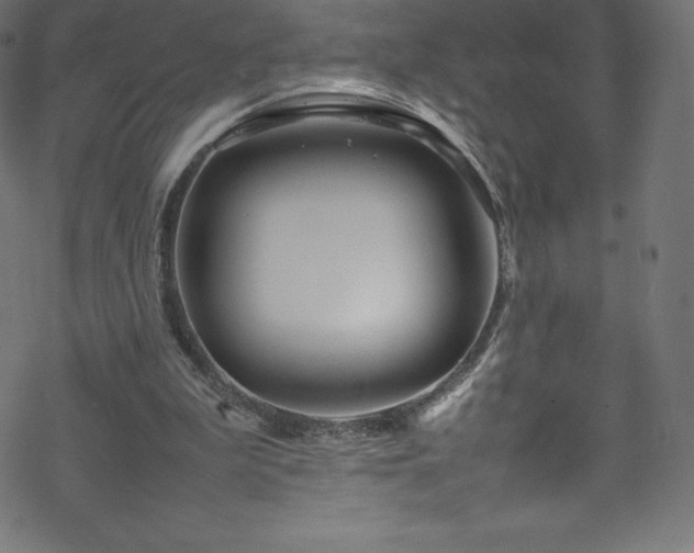 X0000070230199200605301504