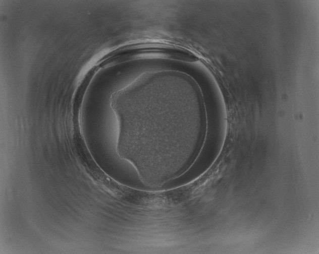 X0000070230200200605301504