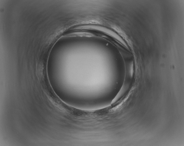 X0000070230201200605301504