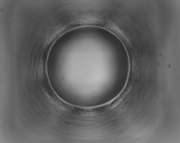 X0000070230202200605301504