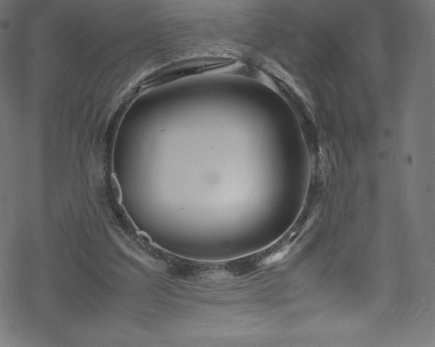 X0000070230203200605301504