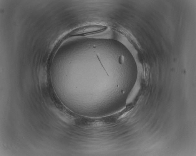 X0000070230204200605301504