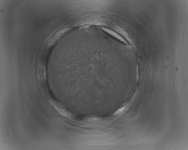 X0000070230205200605301504