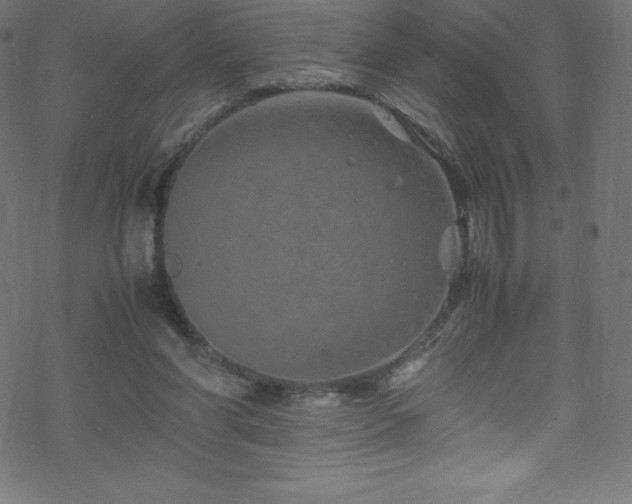 X0000070230206200605301504