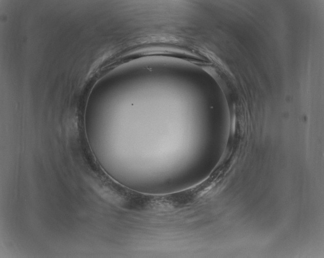 X0000070230207200605301504