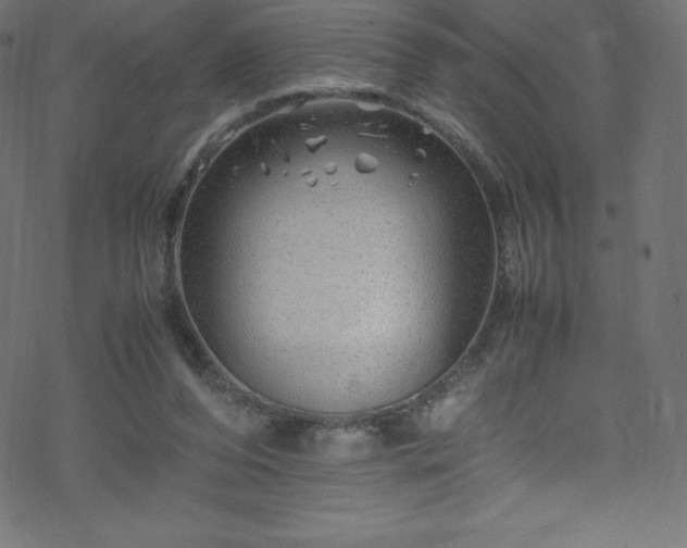 X0000070230208200605301504