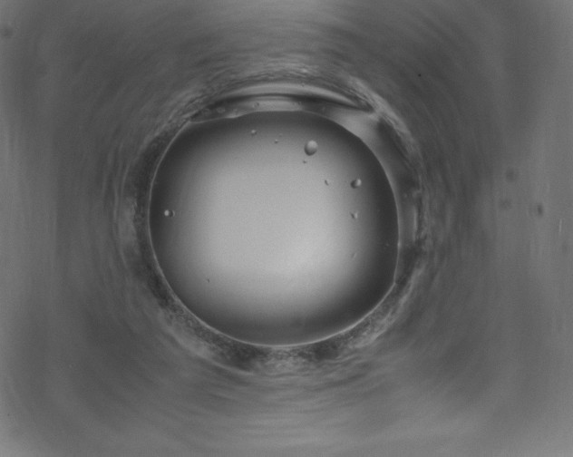 X0000070230209200605301504