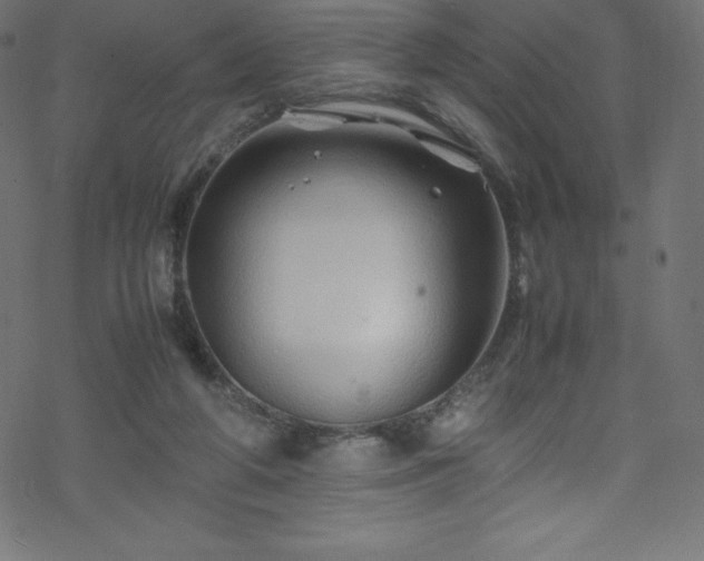 X0000070230210200605301504