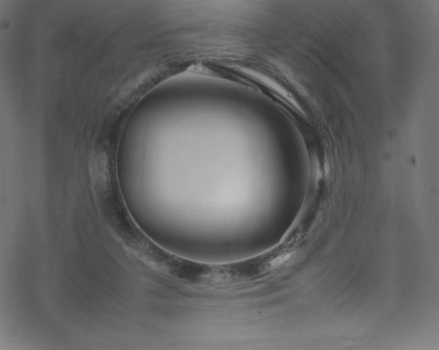 X0000070230211200605301504