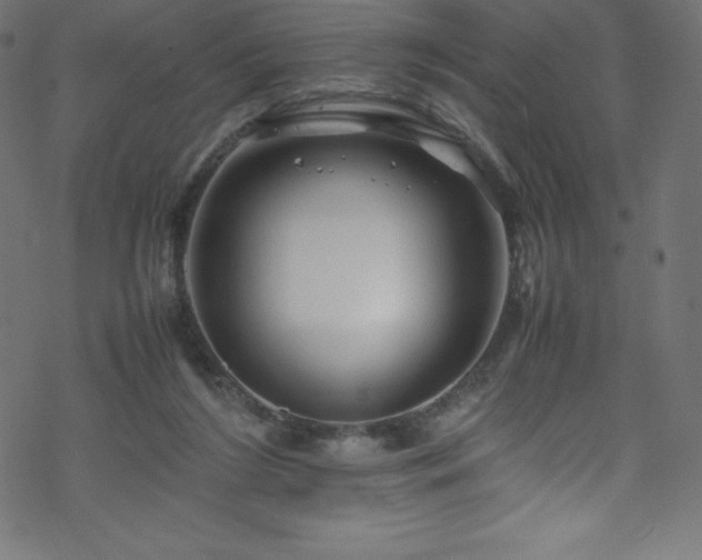 X0000070230212200605301504