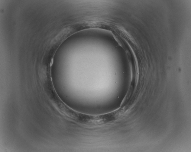 X0000070230213200605301504