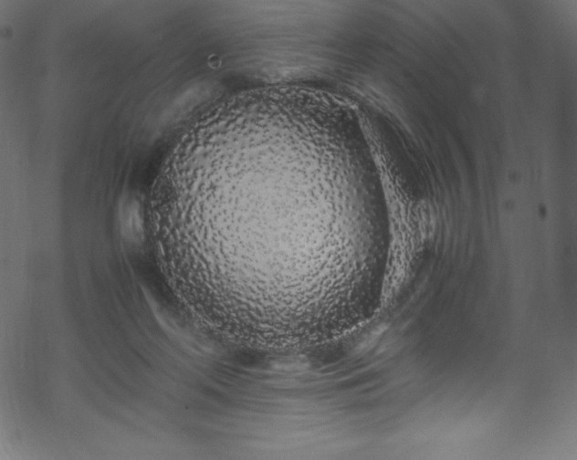 X0000070230214200605301504