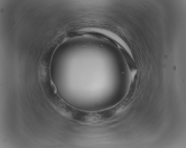 X0000070230215200605301504