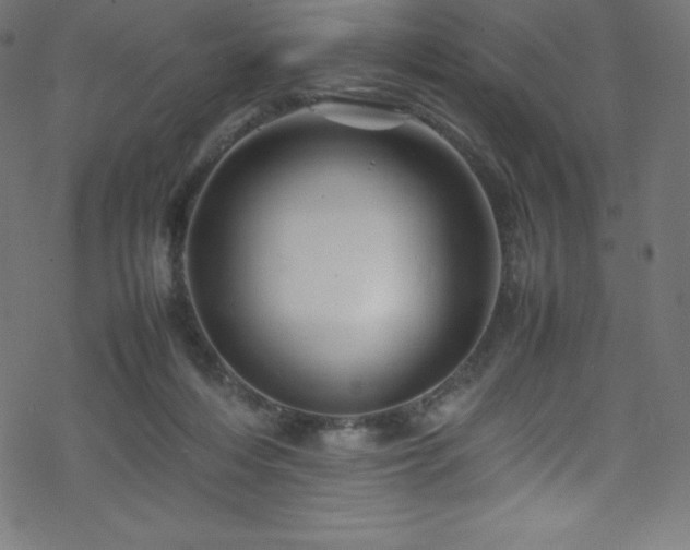 X0000070230216200605301504