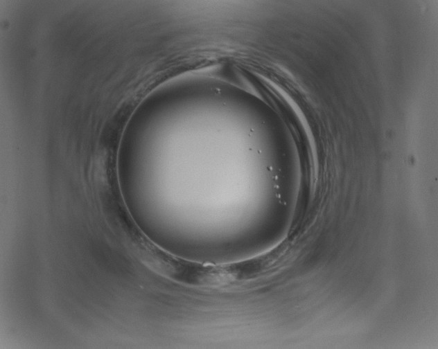 X0000070230217200605301504