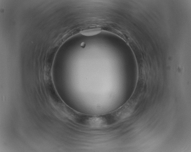 X0000070230218200605301504