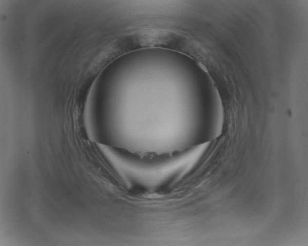 X0000070230219200605301504