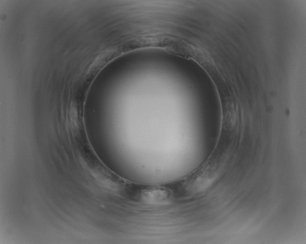 X0000070230220200605301503