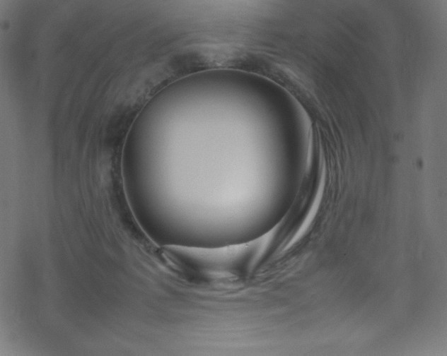 X0000070230221200605301503