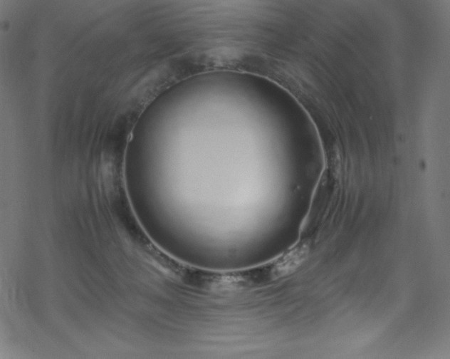 X0000070230222200605301503