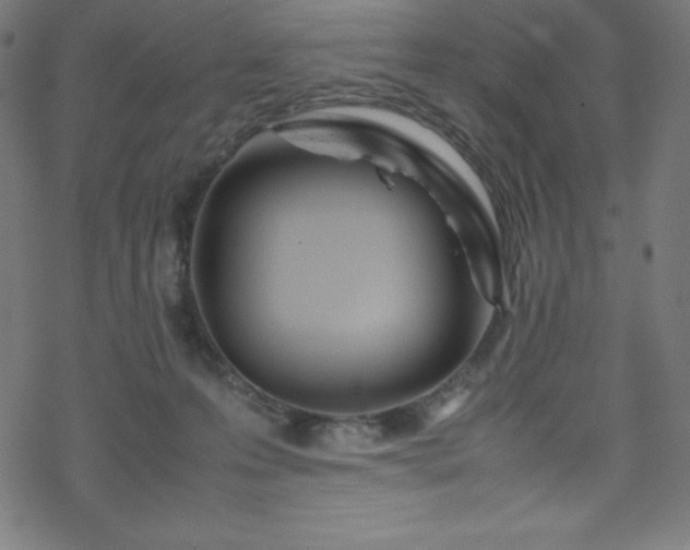 X0000070230223200605301503