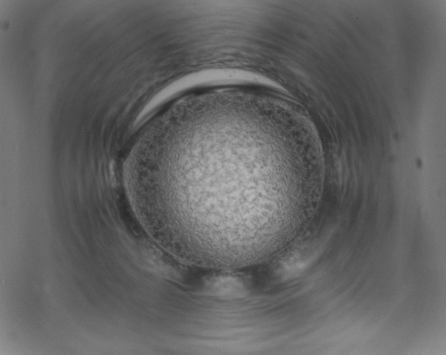 X0000070230224200605301503