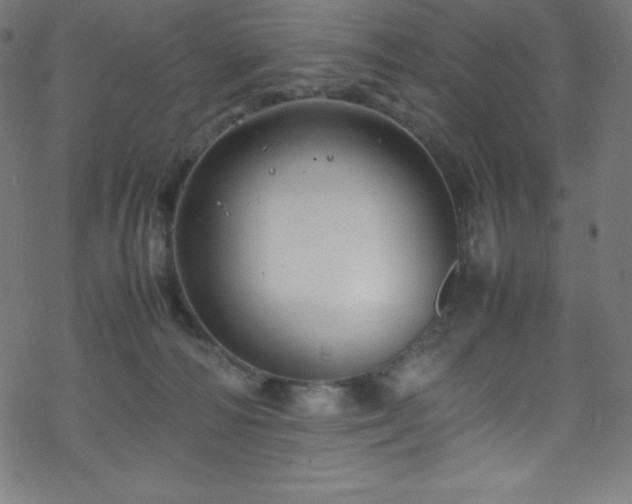 X0000070230226200605301503