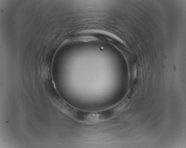 X0000070230227200605301503