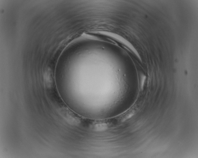 X0000070230228200605301503