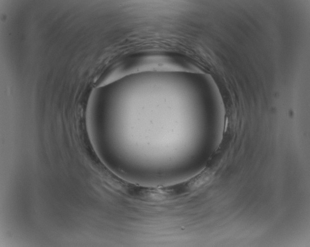 X0000070230229200605301503