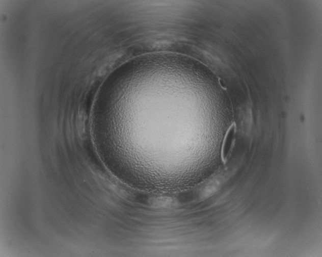 X0000070230230200605301503