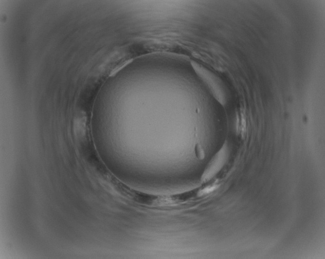 X0000070230231200605301503