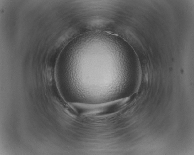 X0000070230232200605301503